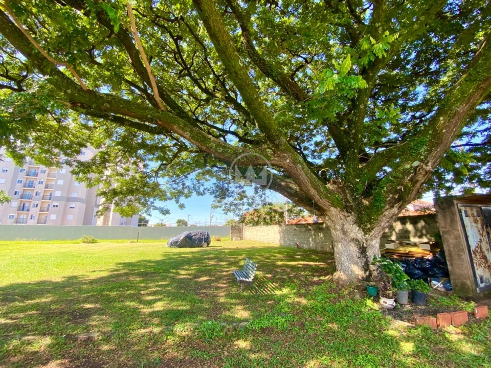 Apartamento À Venda Pompéia Piracicaba