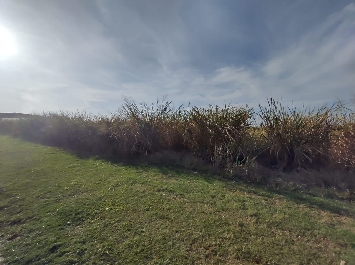 Imagens do imóveis terreno comercial para alugar em comendador mário dedini, piracicaba 1100m²