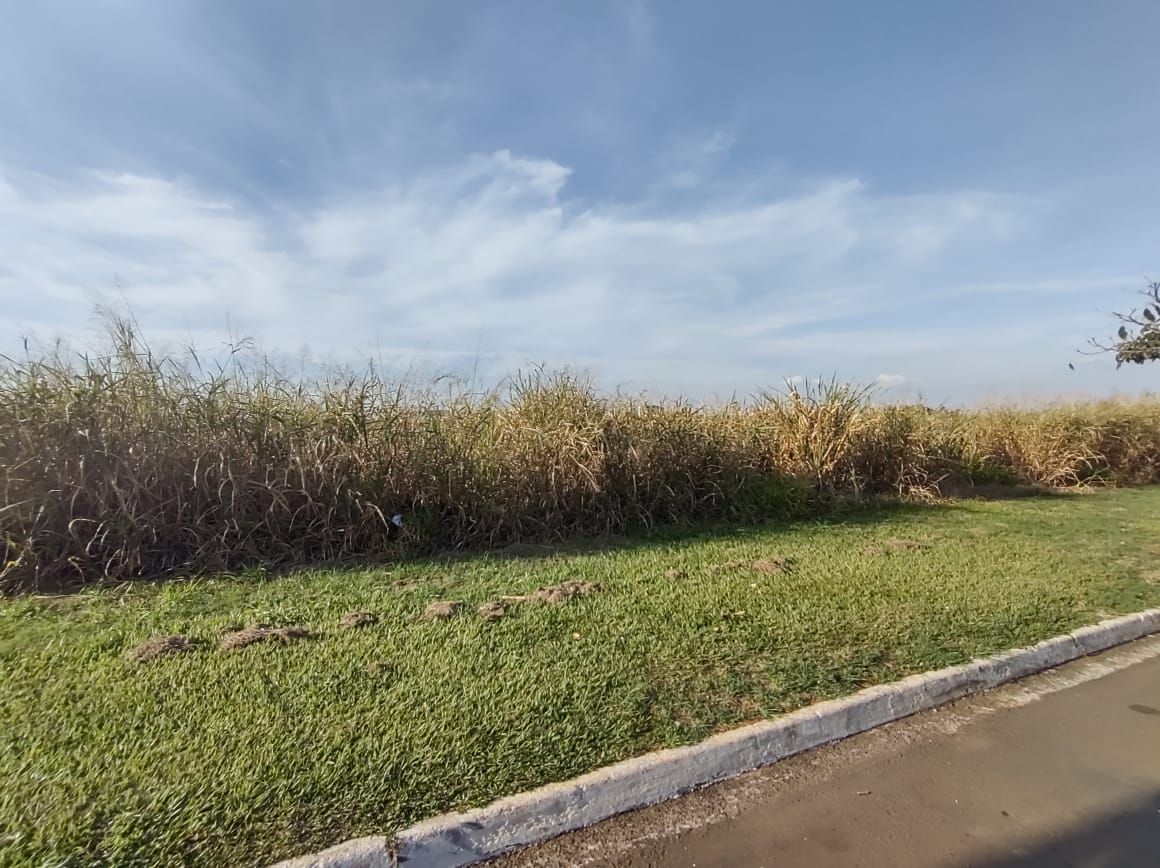 Imagens do imóveis terreno comercial para alugar em comendador mário dedini, piracicaba 1100m²