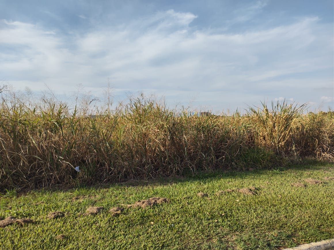 Imagens do imóveis terreno comercial para alugar em comendador mário dedini, piracicaba 1100m²