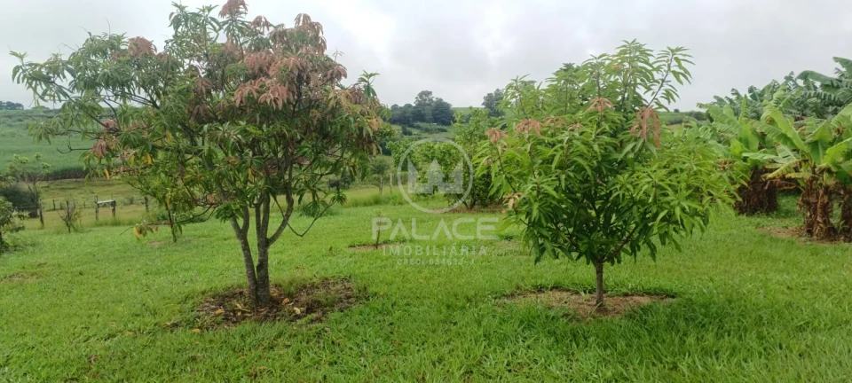 Exuberante Sitio na Piracicaba/Anhumas