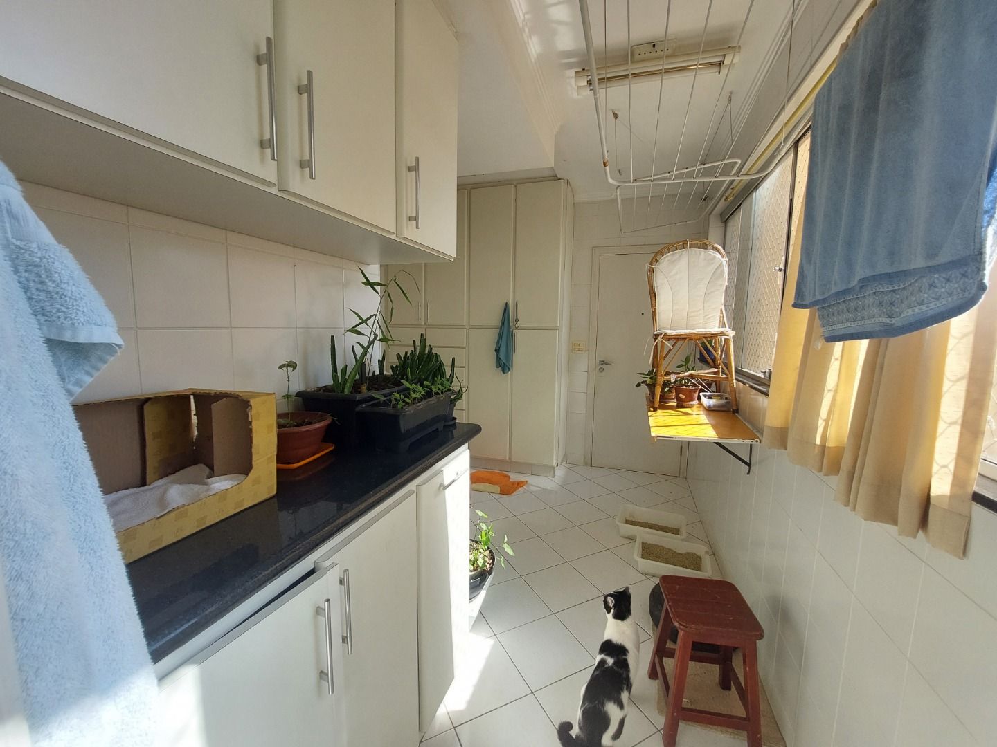 Imagens do imóveis Apartamento com 3 dormitórios à venda, 137 m² por RS 480.000,00 - Centro - Piracicaba-SP