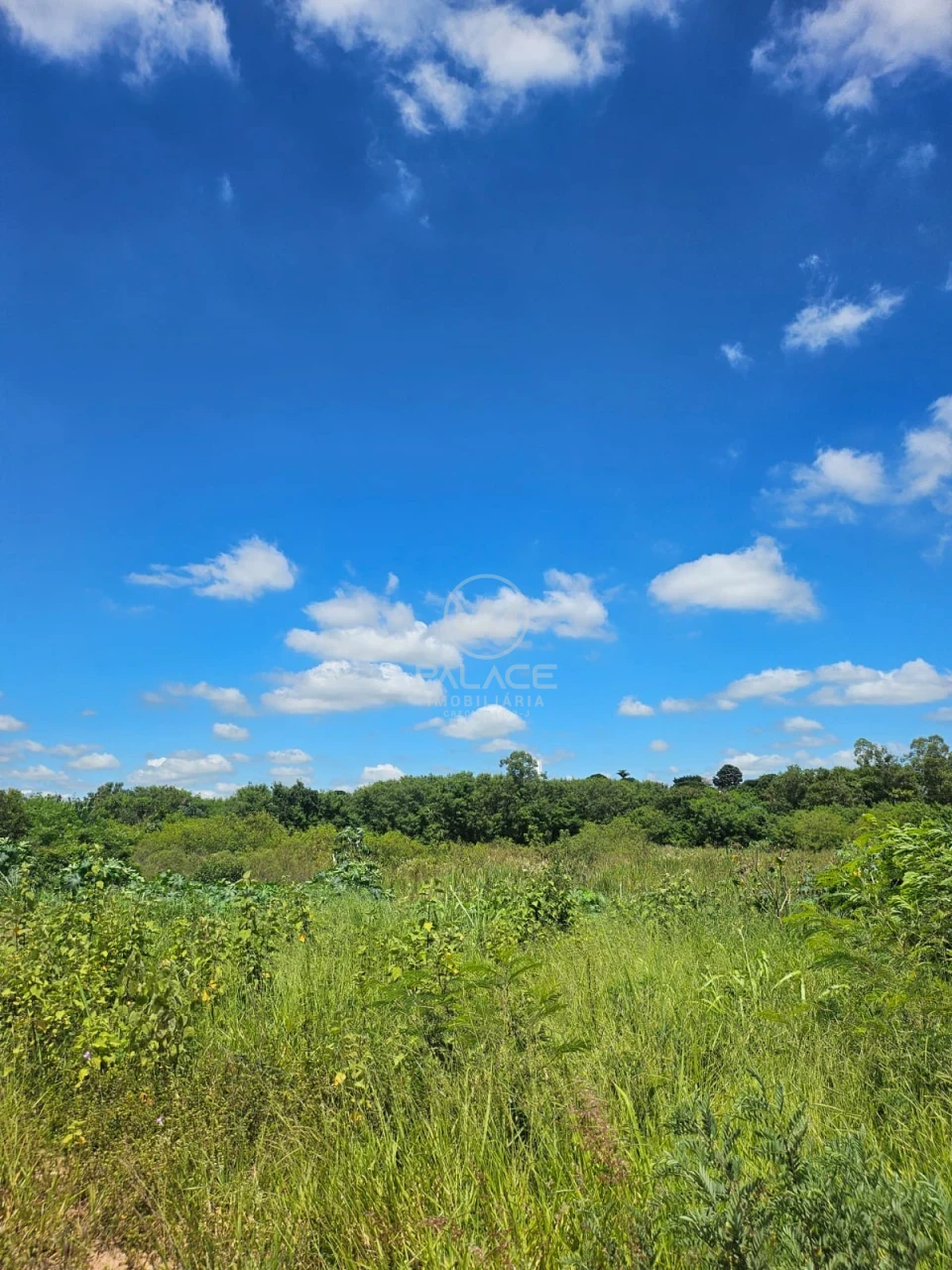 Terreno À Venda Campestre Piracicaba - Foto 5
