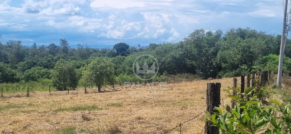 Excelente área para indústrias e transportadoras de grande porte