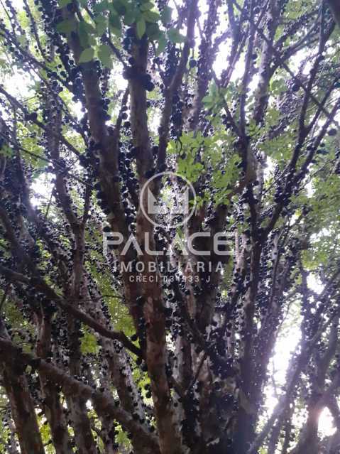 Imagens do imóveis Terreno à venda e locação  à venda e locação Colinas do Piracicaba (Ártemis) Piracicaba