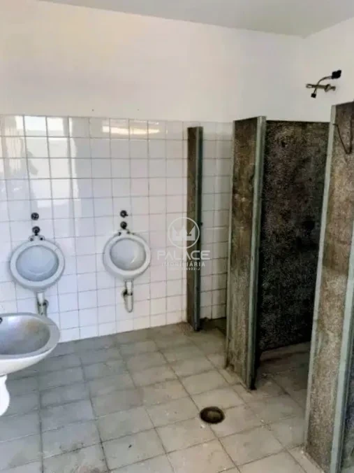 Imóvel comercial à venda e para alugar em Jardim Algodoal, Piracicaba - foto 11