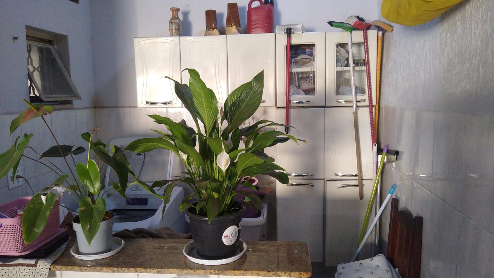 Imagens do imóveis casa à venda em castelinho, piracicaba 3 quartos 291m²