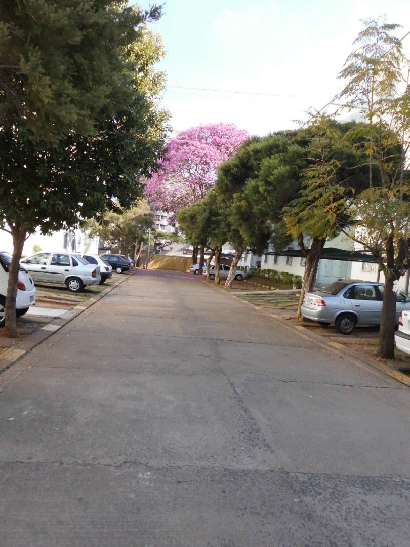 Apartamento com 2 dormitórios para alugar, 54 m² Nova América - Piracicaba-SP
