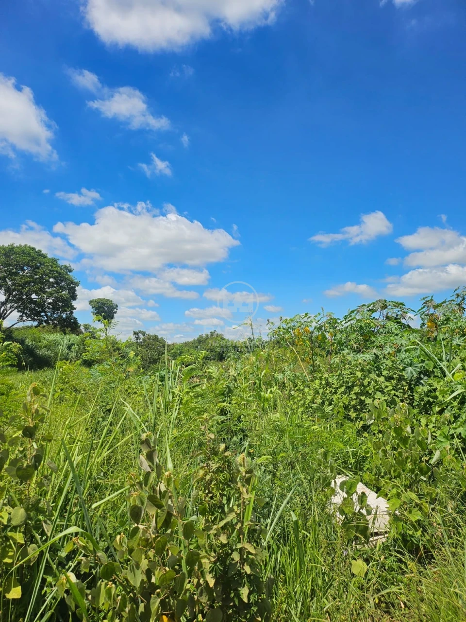 Terreno À Venda Campestre Piracicaba - Foto 4