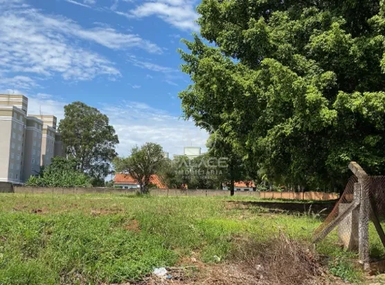 Terreno a  Venda na Avenida Dois Córregos