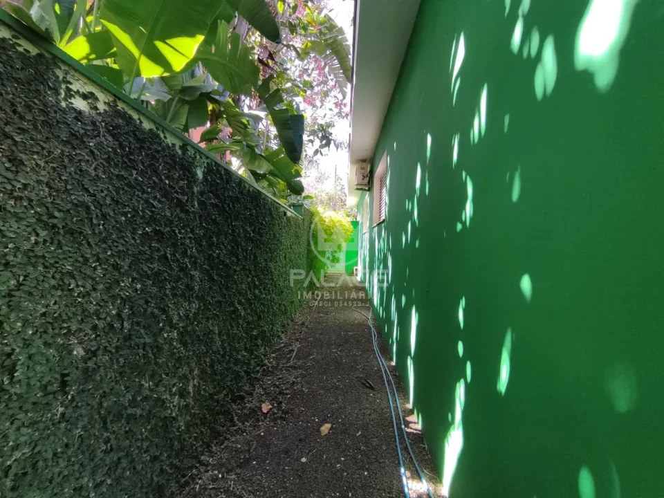 Casa Em Condomínio Para Alugar Condomínio Monte Alegre Piracicaba