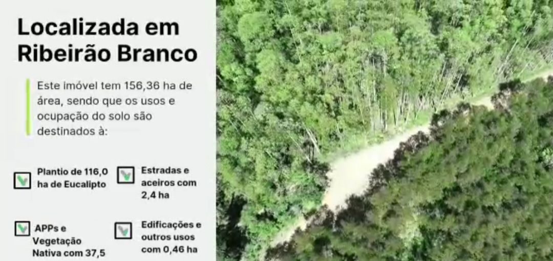 Imagens do imóveis fazenda à venda em rio apiai, ribeirão branco 5 quartos