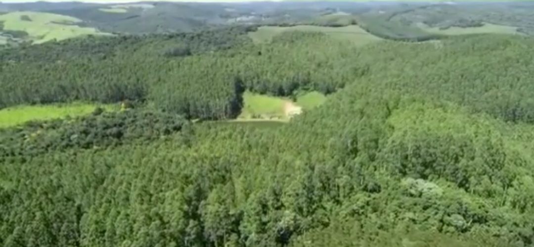 Imagens do imóveis fazenda à venda em rio apiai, ribeirão branco 5 quartos