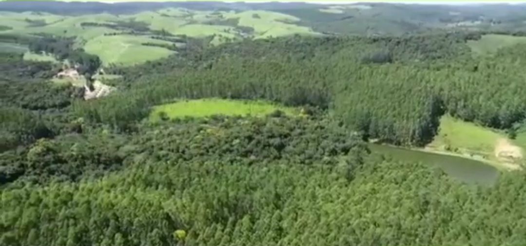 Imagens do imóveis fazenda à venda em rio apiai, ribeirão branco 5 quartos