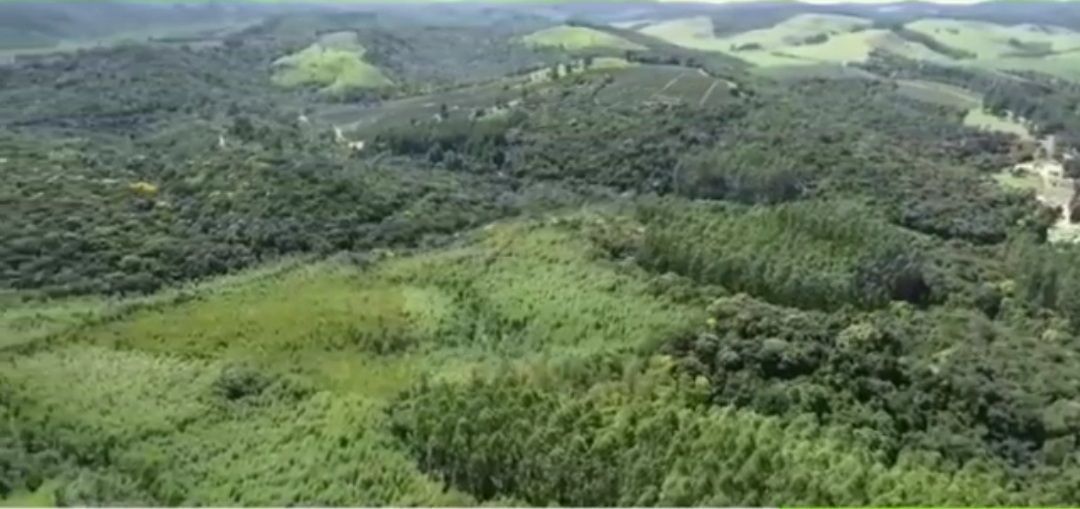 Imagens do imóveis fazenda à venda em rio apiai, ribeirão branco 5 quartos