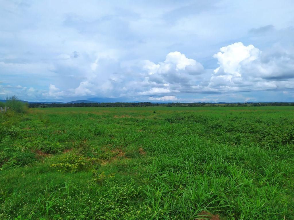 fazenda à venda em zona rural, alvorada 5 quartos