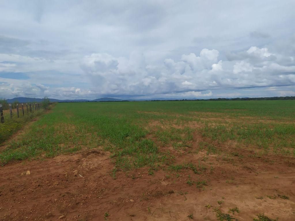 fazenda à venda em zona rural, alvorada 5 quartos