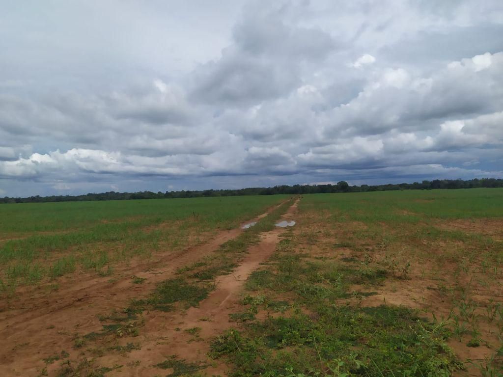 fazenda à venda em zona rural, alvorada 5 quartos