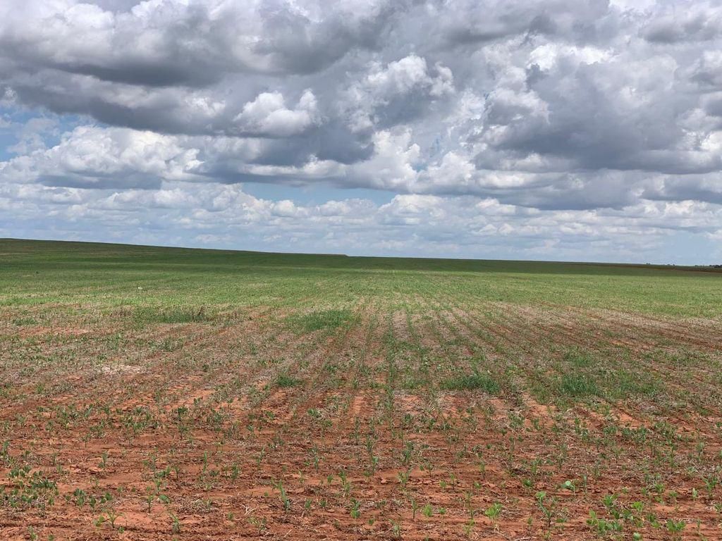 fazenda à venda em zona rural, alvorada 5 quartos