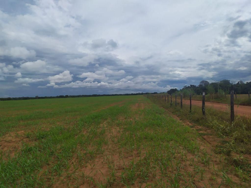 fazenda à venda em zona rural, alvorada 5 quartos