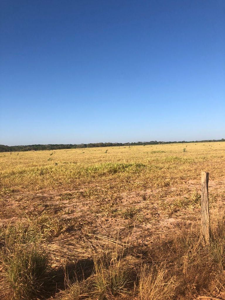 fazenda à venda em zona rural, alvorada 5 quartos