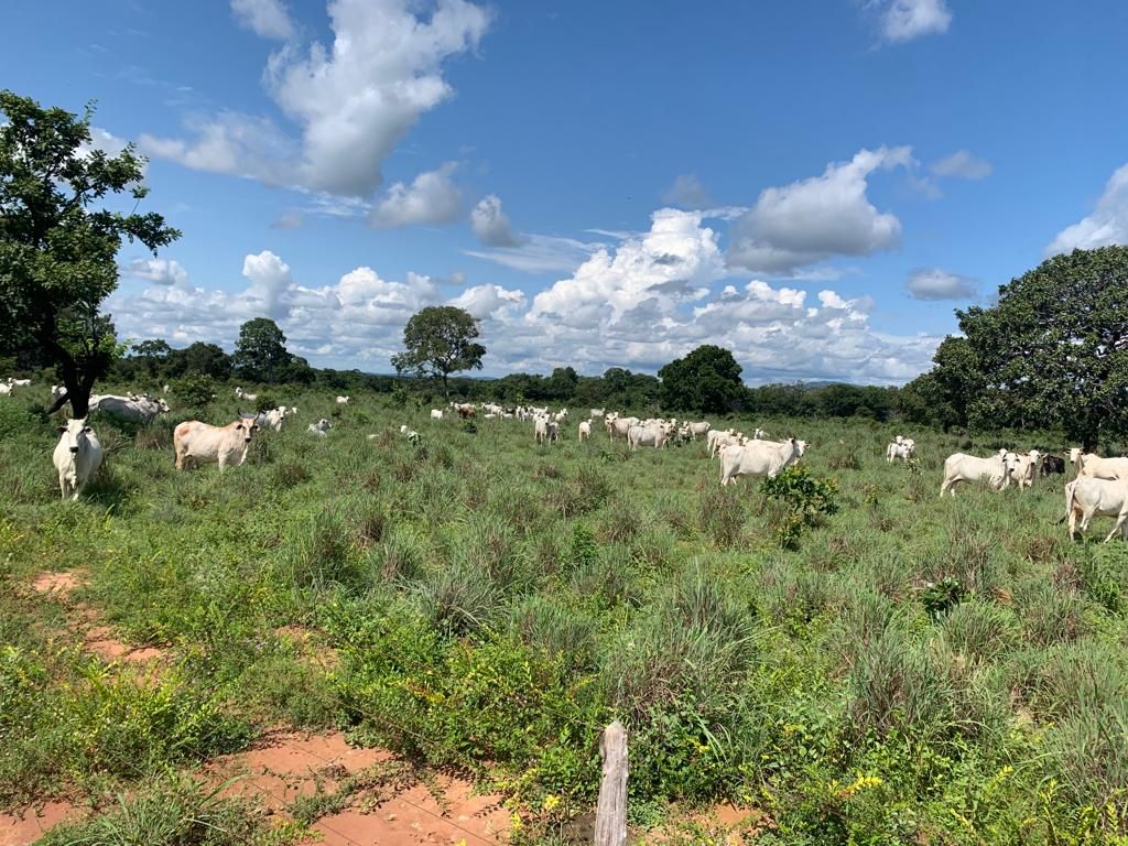 fazenda à venda em zona rural, alvorada 5 quartos