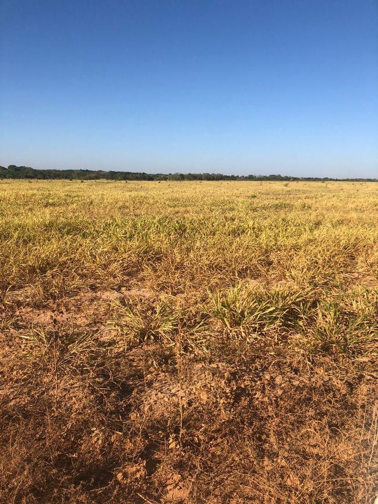 fazenda à venda em zona rural, alvorada 5 quartos