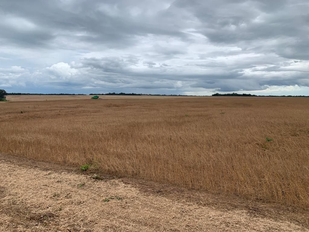 fazenda à venda em zona rural, alvorada 5 quartos