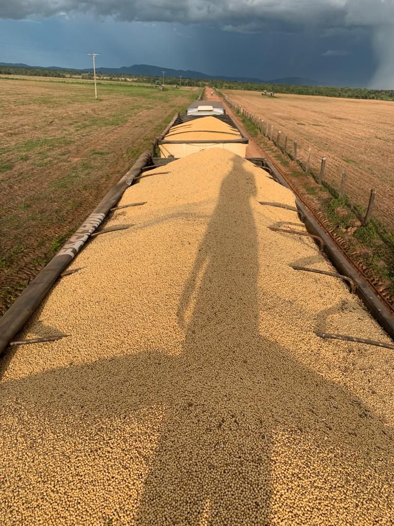 fazenda à venda em zona rural, alvorada 5 quartos