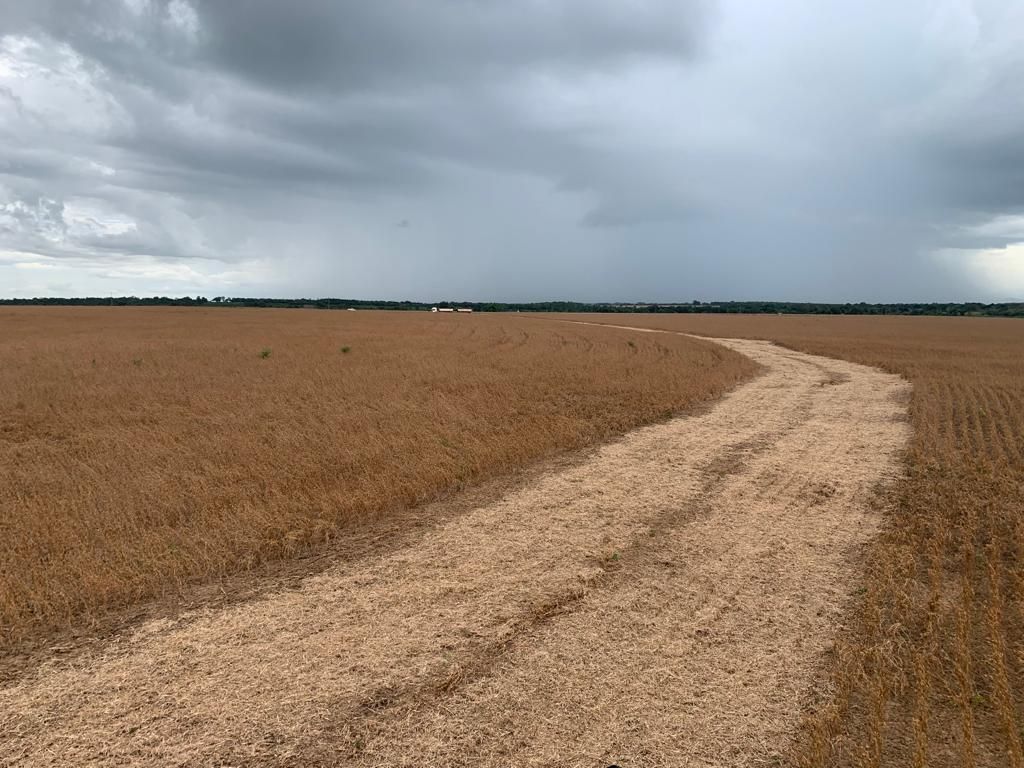 fazenda à venda em zona rural, alvorada 5 quartos