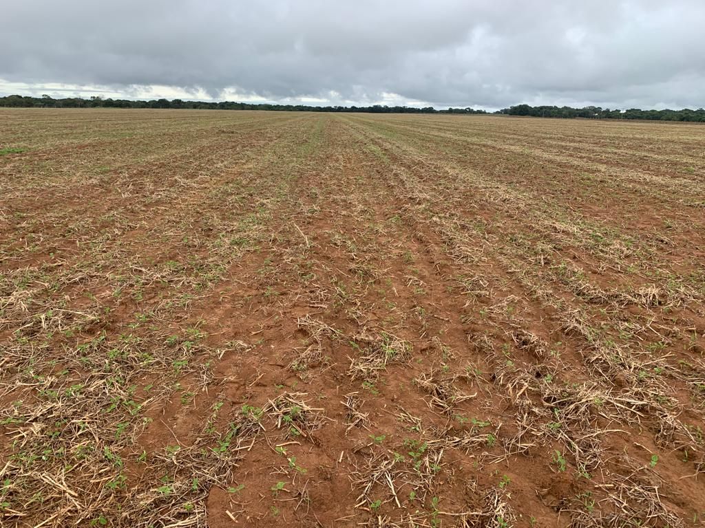 fazenda à venda em zona rural, alvorada 5 quartos