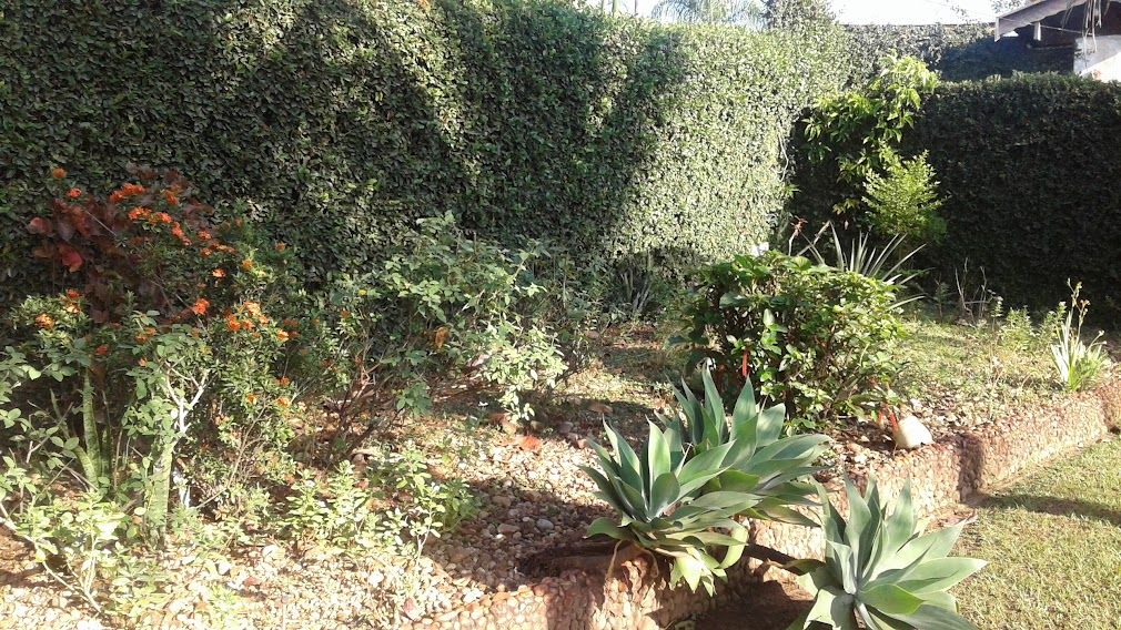 Imagens do imóveis Ótima chácara no Lago Azul