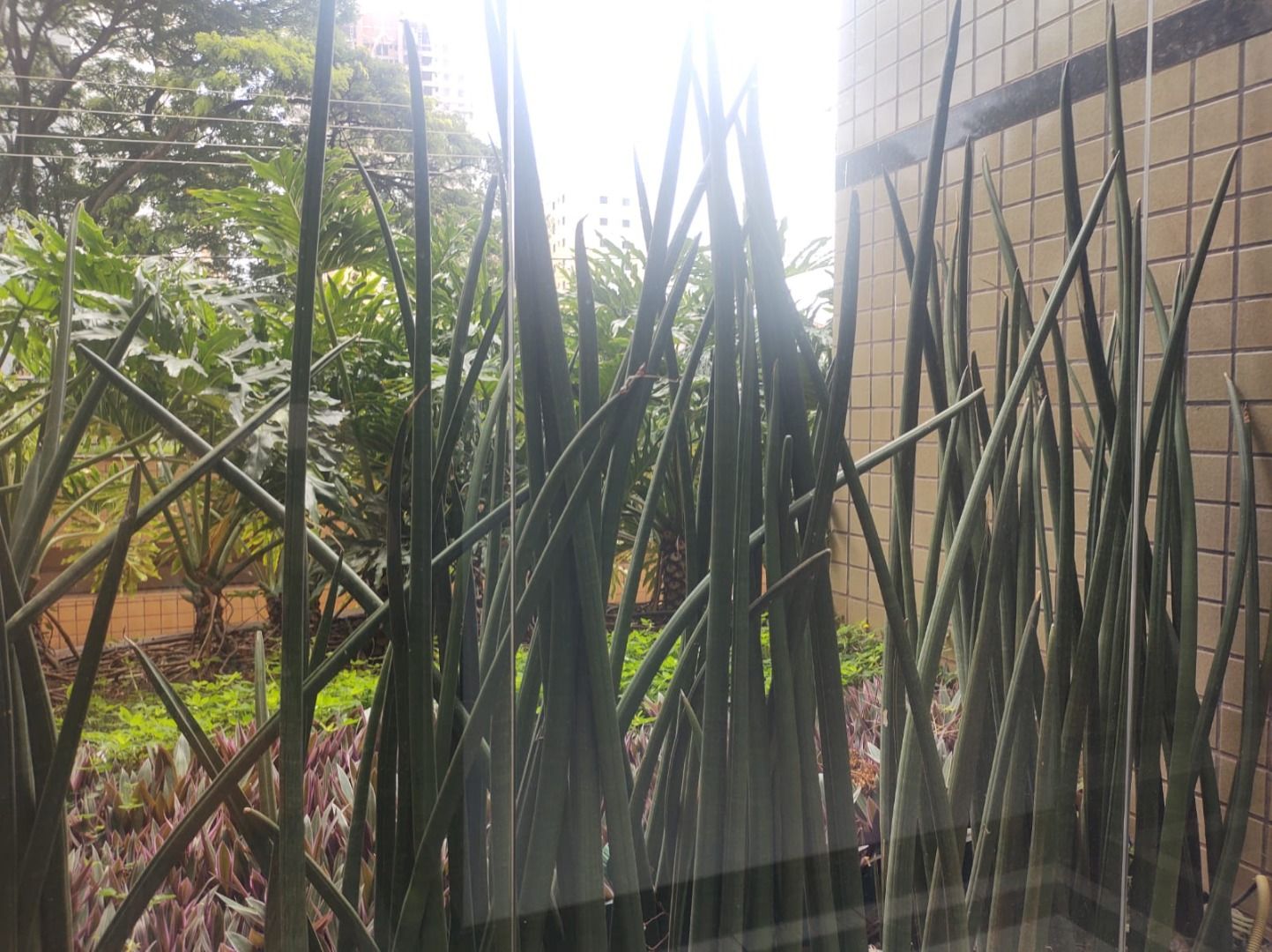 Imagens do imóveis apartamento para alugar em nova américa, piracicaba 3 quartos 163m²