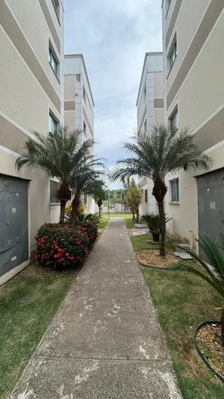 Apartamento Para Alugar Condomínio Parque Piazza San Pietro Piracicaba