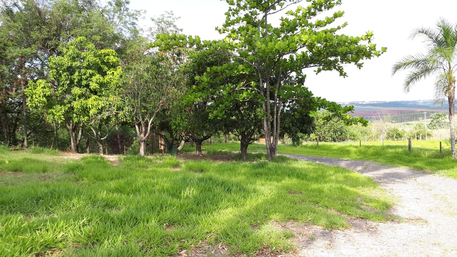 Imagens do imóveis chácara à venda em tabela, charqueada 3 quartos