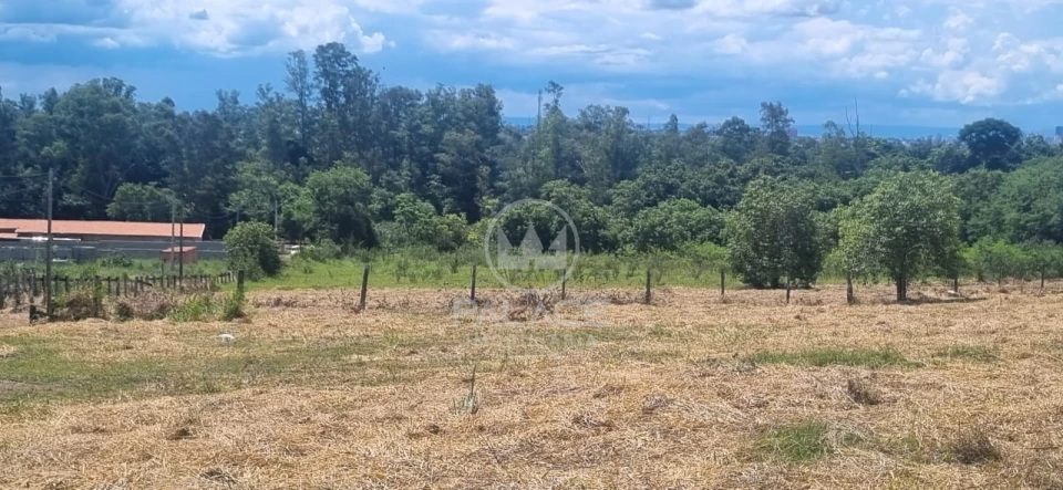 Excelente área para indústrias e transportadoras de grande porte