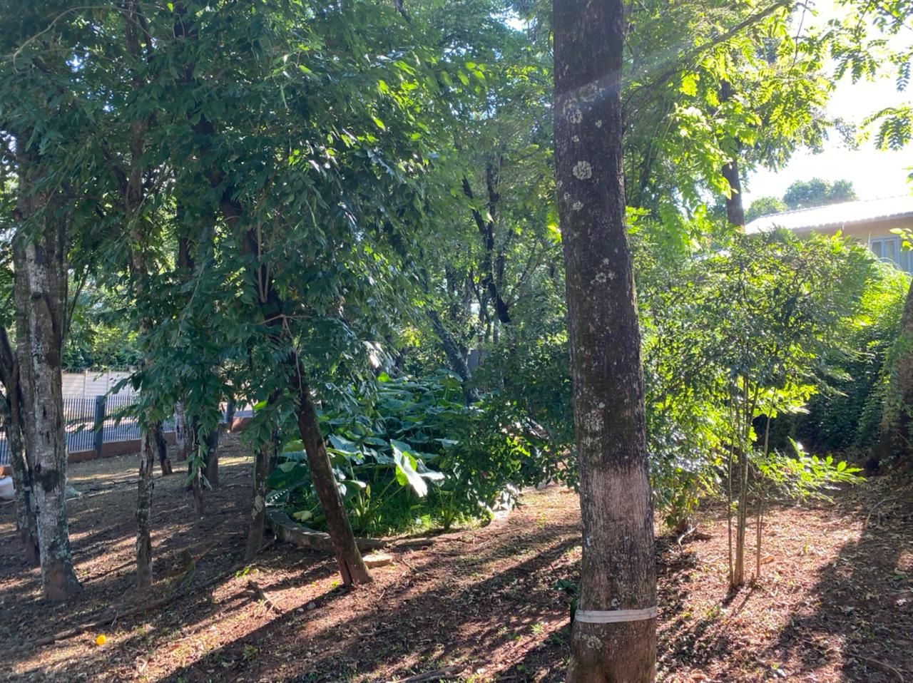 Imagens do imóveis Chácara com 3 dormitórios à venda, 2439 m² por RS 2.200.000,00 - Colinas do Piracicaba (Ártemis) - Piracicaba-SP