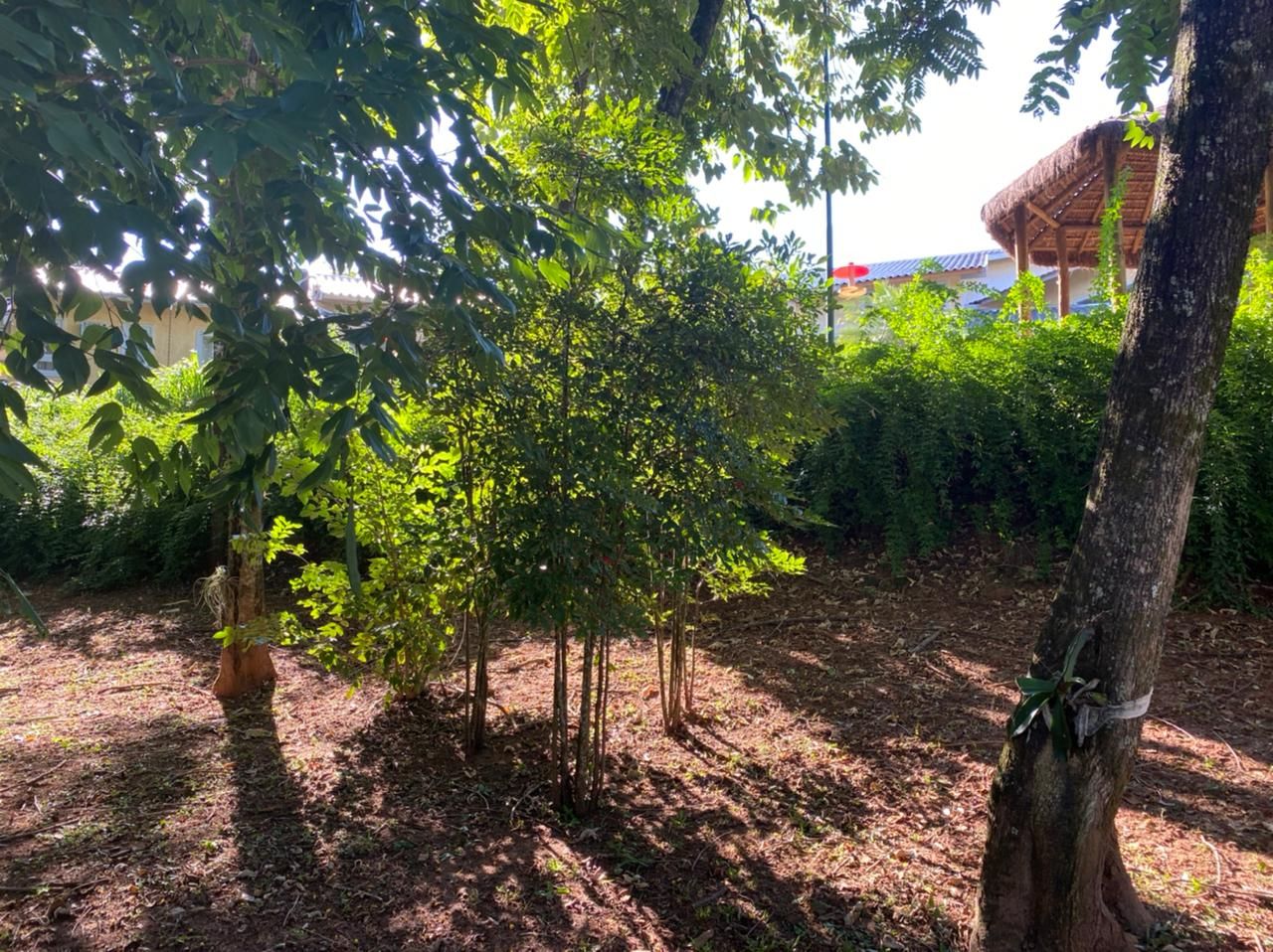 Imagens do imóveis Chácara com 3 dormitórios à venda, 2439 m² por RS 2.200.000,00 - Colinas do Piracicaba (Ártemis) - Piracicaba-SP