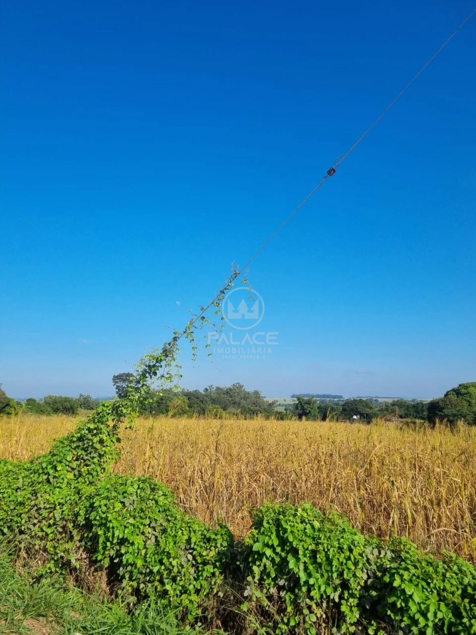 Terreno À Venda Campestre Piracicaba - Foto 6