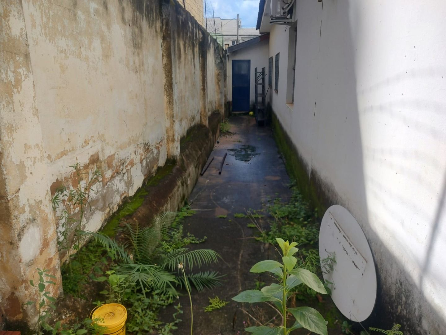 Imagens do imóveis casa comercial à venda em centro, piracicaba 3 quartos 248m²