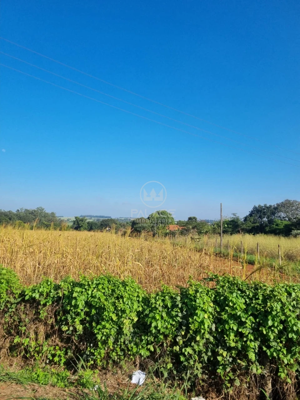 Terreno À Venda Campestre Piracicaba - Foto 7