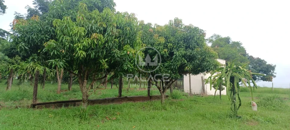 Exuberante Sitio na Piracicaba/Anhumas