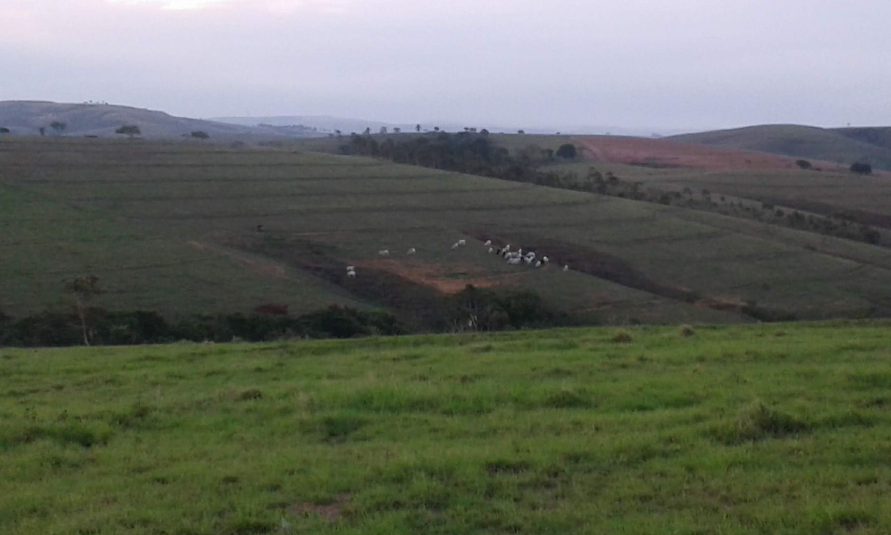 Imagens do imóveis fazenda à venda em zona rural, tapira 5 quartos