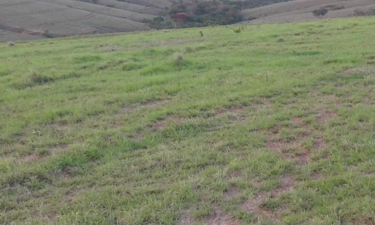 Imagens do imóveis fazenda à venda em zona rural, tapira 5 quartos