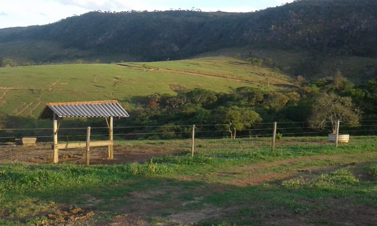 Imagens do imóveis fazenda à venda em zona rural, tapira 5 quartos