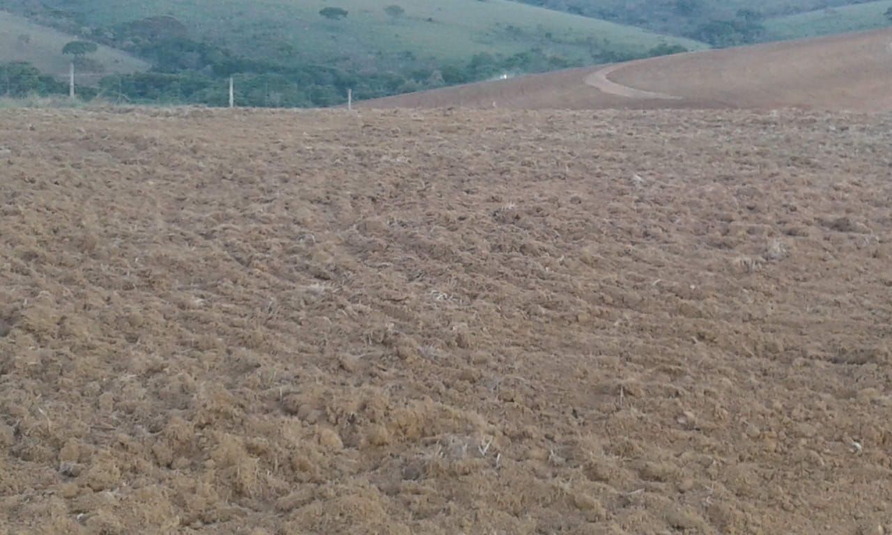 Imagens do imóveis fazenda à venda em zona rural, tapira 5 quartos