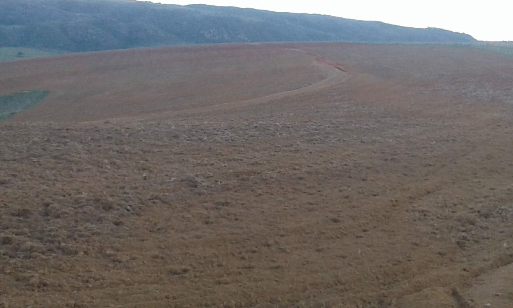 Imagens do imóveis fazenda à venda em zona rural, tapira 5 quartos