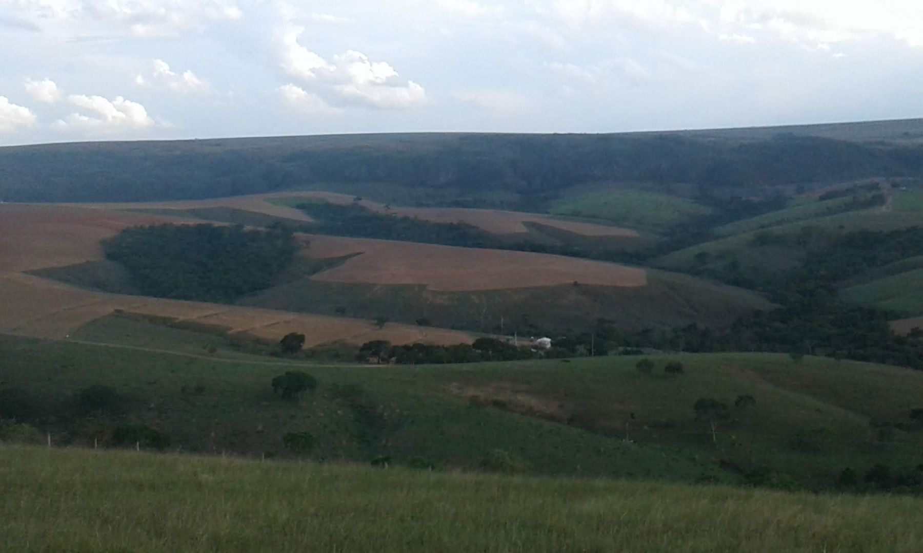 Imagens do imóveis fazenda à venda em zona rural, tapira 5 quartos