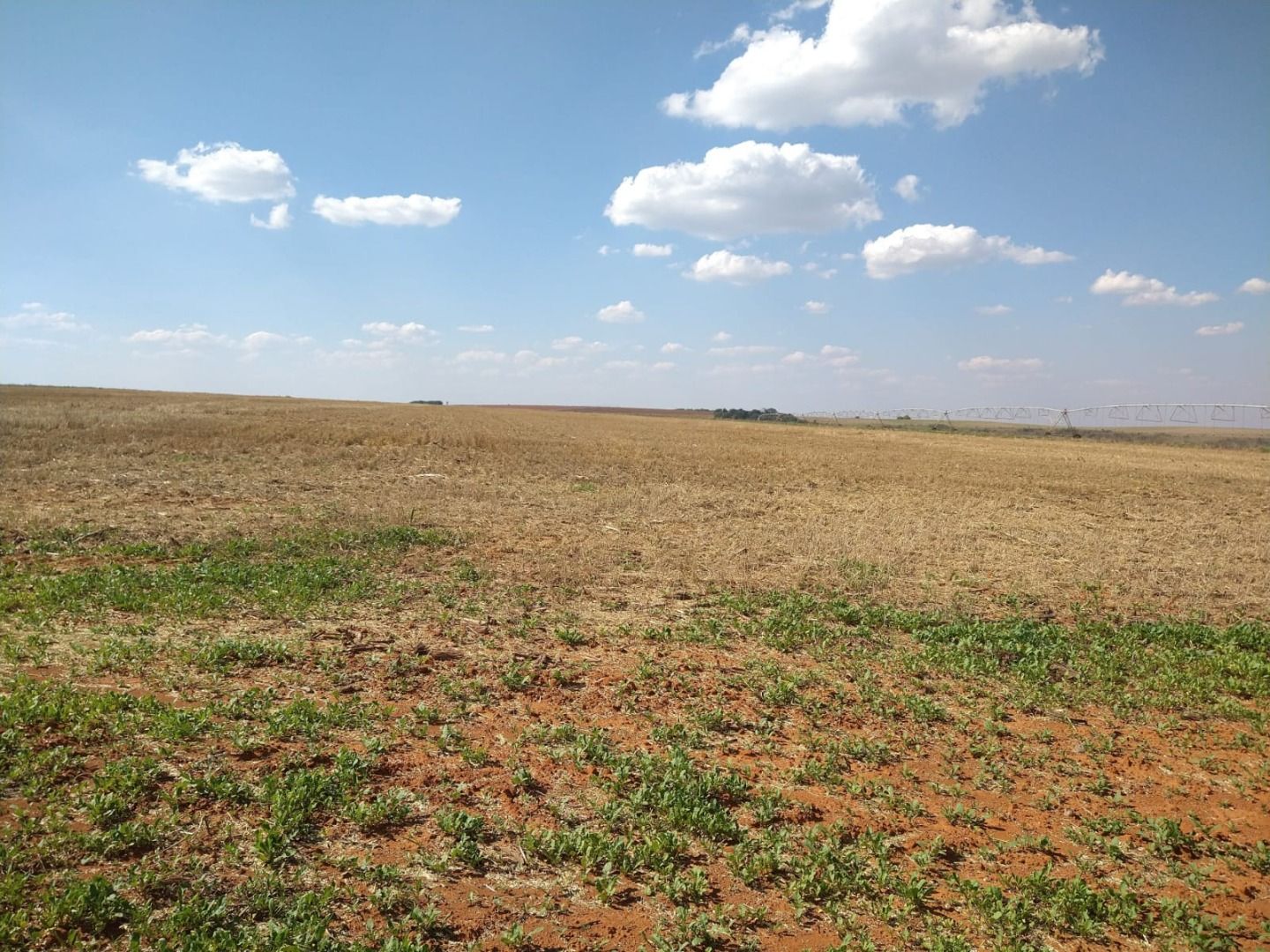 fazenda à venda em zona rural, araxá 50 quartos