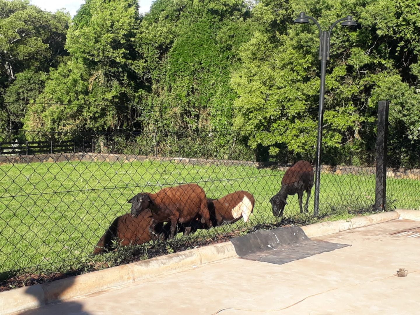 Imagens do imóveis sítio à venda em itaí, itaí 3 quartos